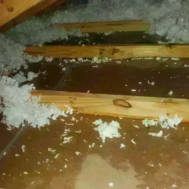 Attic Water Damage in Brown County, IN