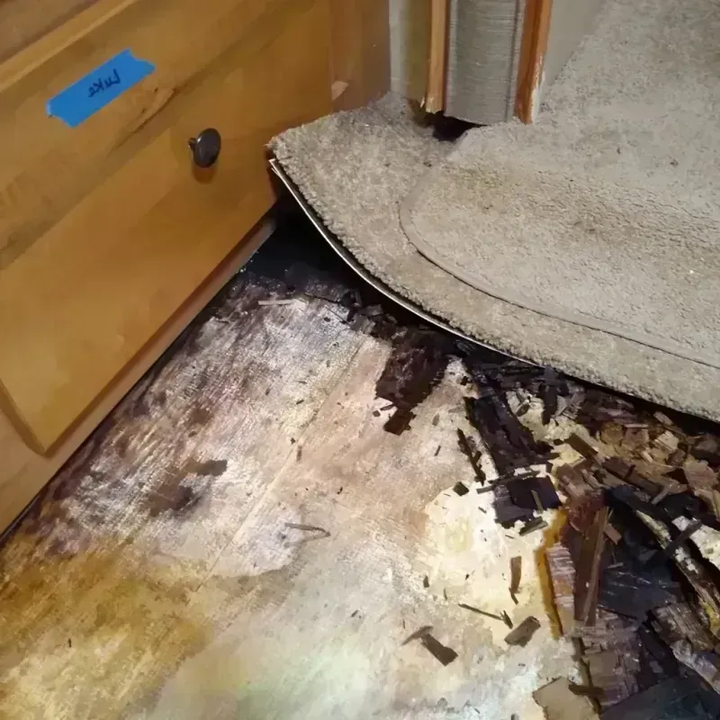 Wood Floor Water Damage in Brown County, IN